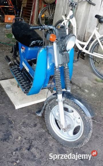 Simson