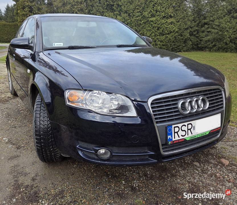 Audi A4 B7 20067 Diesel 19 TDI diesel Strzyżów