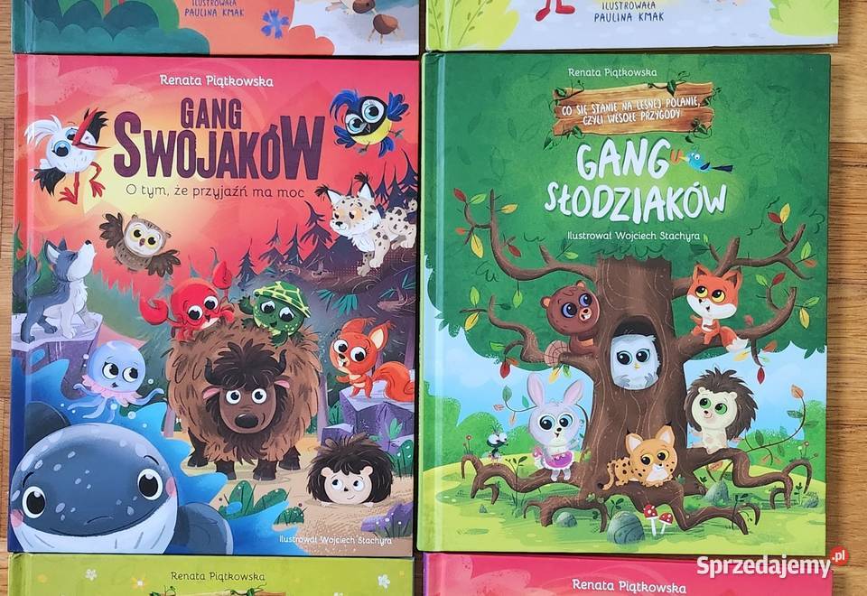 Zestaw książek gang fajniaków swojaków Warszawa