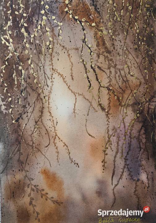 Akwarela Akwarelka Obraz pt Zaczarowany Ogród 2 Olchowiec