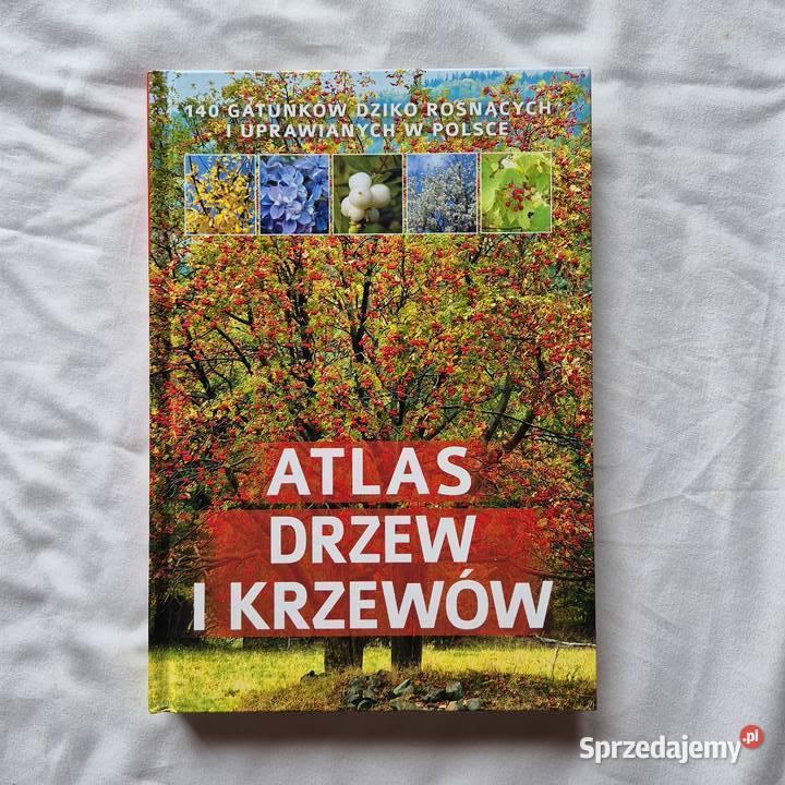 Atlas drzew i krzewów Polski piękna książka Brzesko
