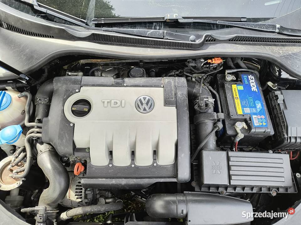 Volkswagen Golf V 19 TDI 2007 podkarpackie Komańcza