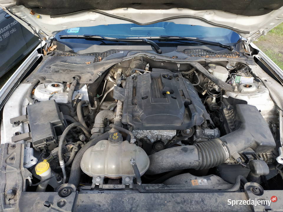 Syndyk sprzeda Ford Mustang 92246km dolnośląskie Wrocław