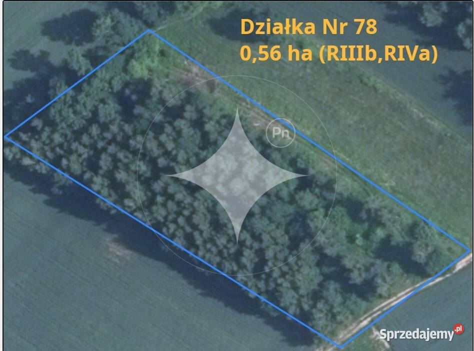 Sprzedam urokliwe siedlisko z działkami