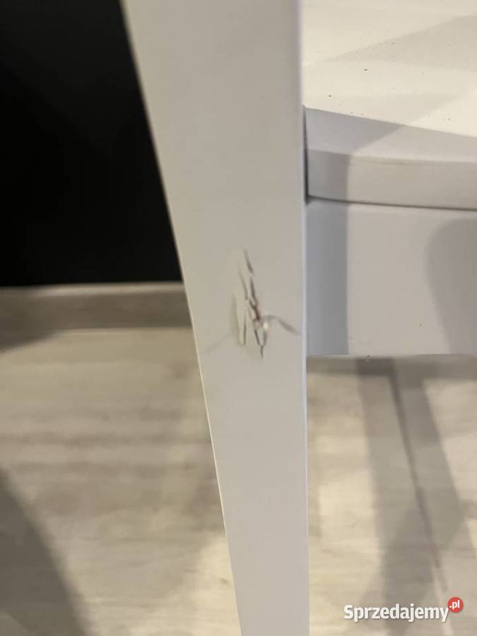 Krzesła białe Ikea łódzkie Bełchatów