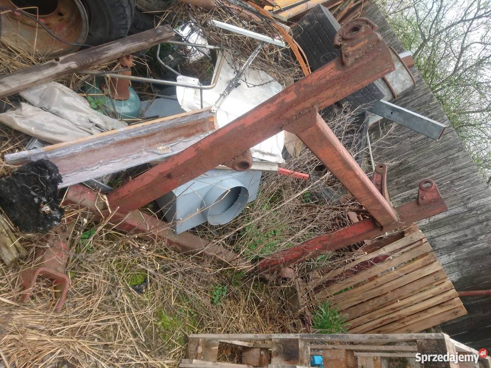 Talerzówka Ruska 5m Bożnowice