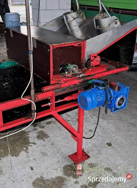 Taśma do różyczkowania brokuła i kalafiora