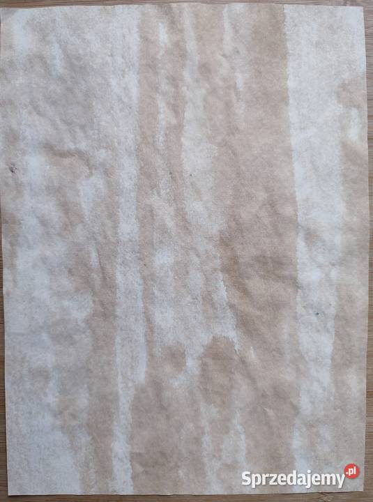 Rysunek sygnowany C ŻAK Warszawa