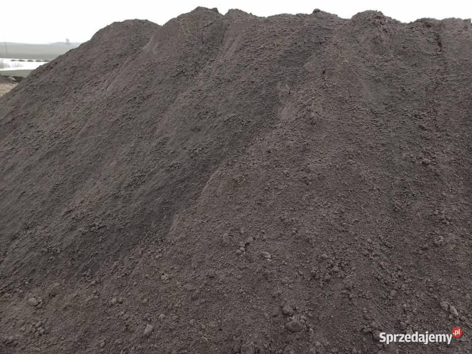 Czarnoziem czarnoziem siany Stężyca sprzedam