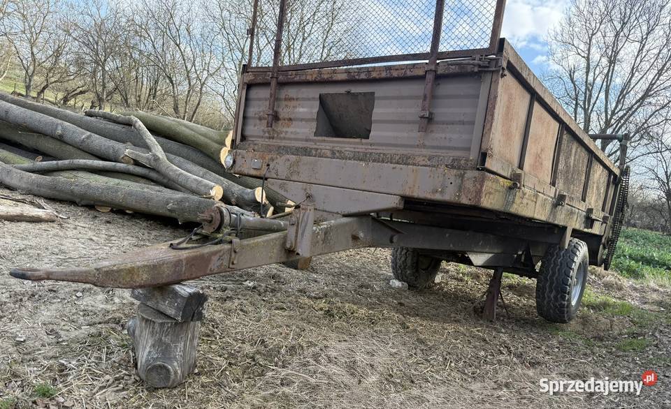 Rozrzutnik Ostrowiec Świętokrzyski