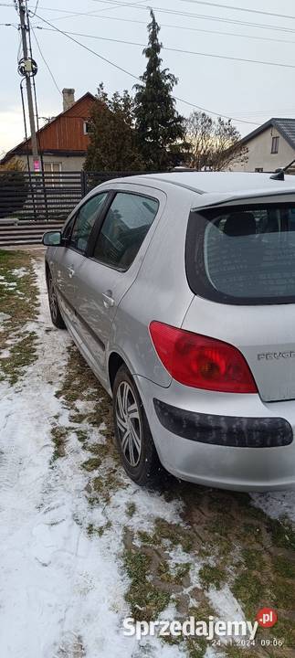 Peugeot 307 16 hak Biała Podlaska sprzedam
