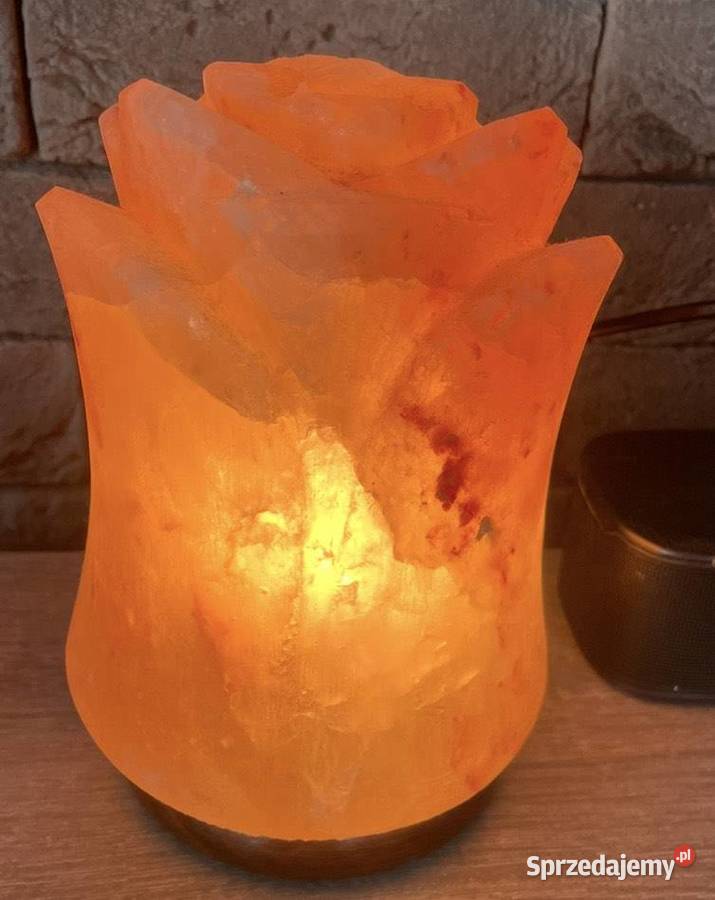 Lampka z soli himalajskiej Dom i Ogród Dębno