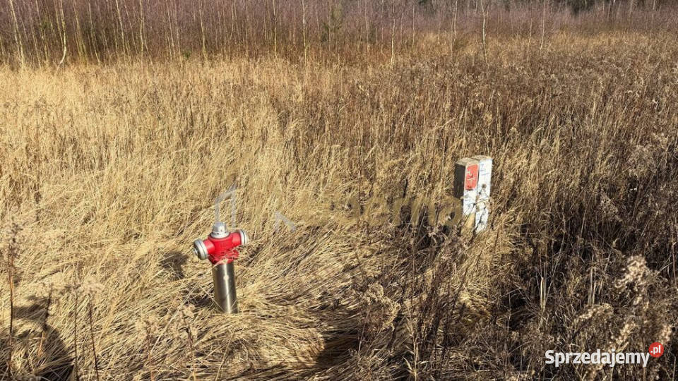 Działka 1552 m2 Żółwia Błoć 4491 m2