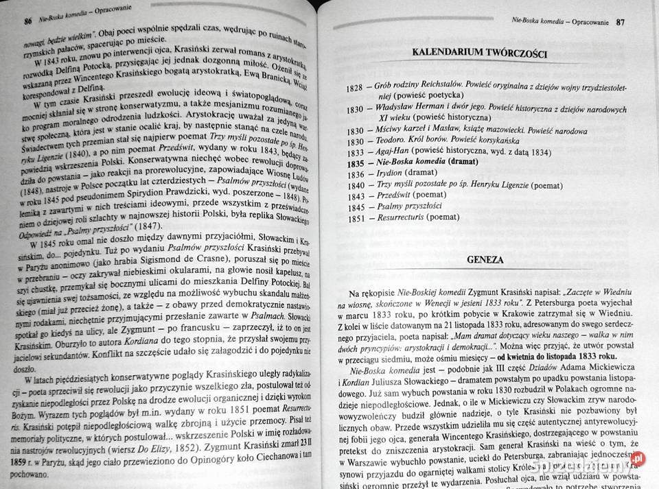 NieBoska komedia Lektura z opracowaniem Zygmunt Kultura i Rozrywka Chełm