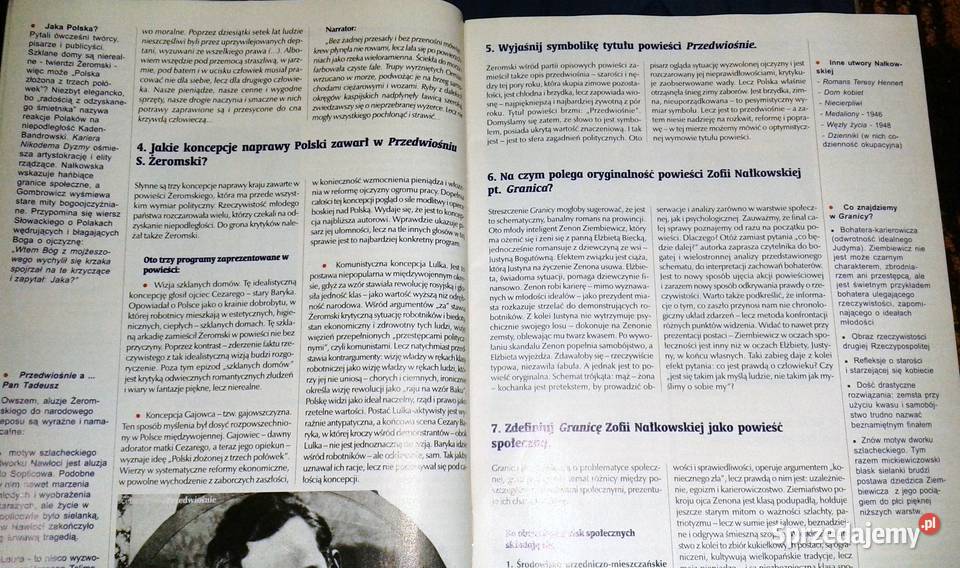 Cogito Język polski 6 Pytania i odpowiedzi lubelskie Chełm sprzedam
