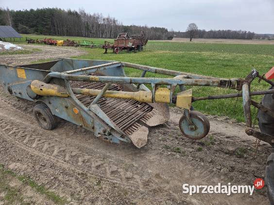 Kopaczka elewatorową dwurzędowa Wilczków