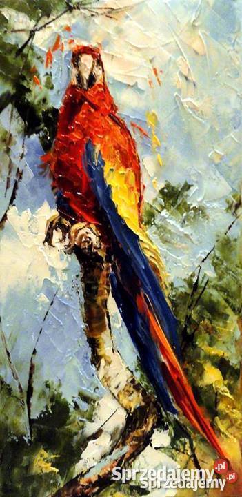 Obraz olejny 20x40 Papuga Warszawa