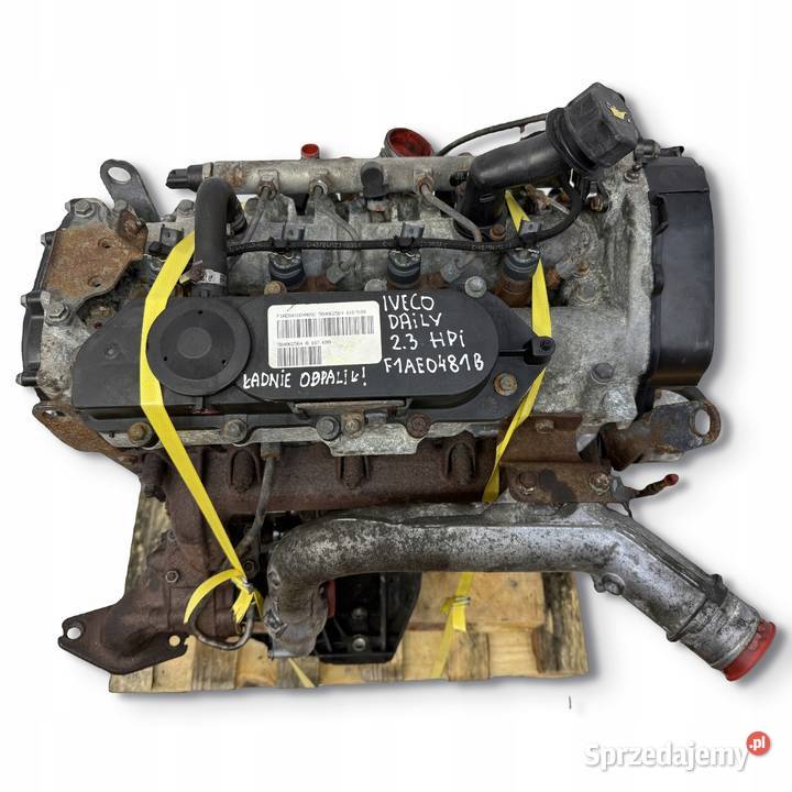 SILNIK F1AE0481B Iveco Daily III 23 HPI 116 Chełm