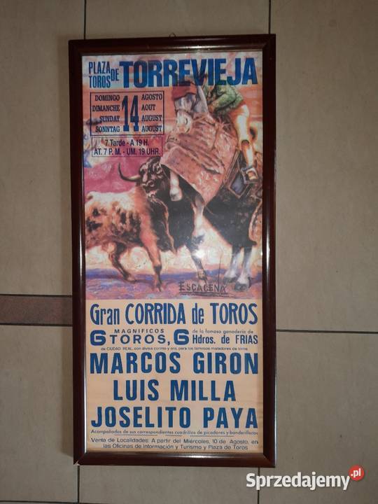 plakat w ramie corrida Radom sprzedam