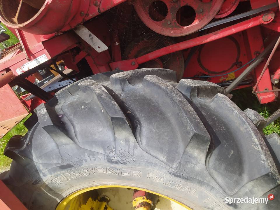 Massey Ferguson 307 z sieczkarnia Dragany