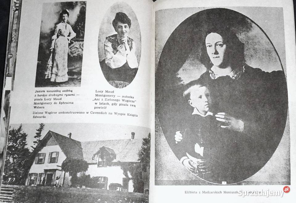 Malwy na lewadach Barbara Wachowicz Chełm