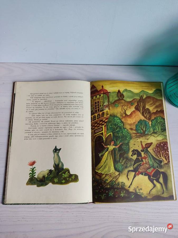 Książka bajka Księga papugi z 1951 roku Pierwsze Pozostałe Głuchołazy