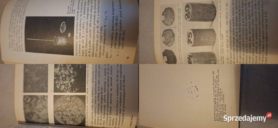 Pierwsze wydanie Popioły lotne i ich wielkopolskie Łęczyca