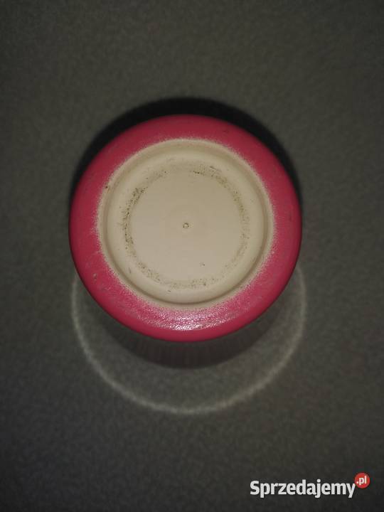 Osłonka storczyka pomorskie Nowa Karczma