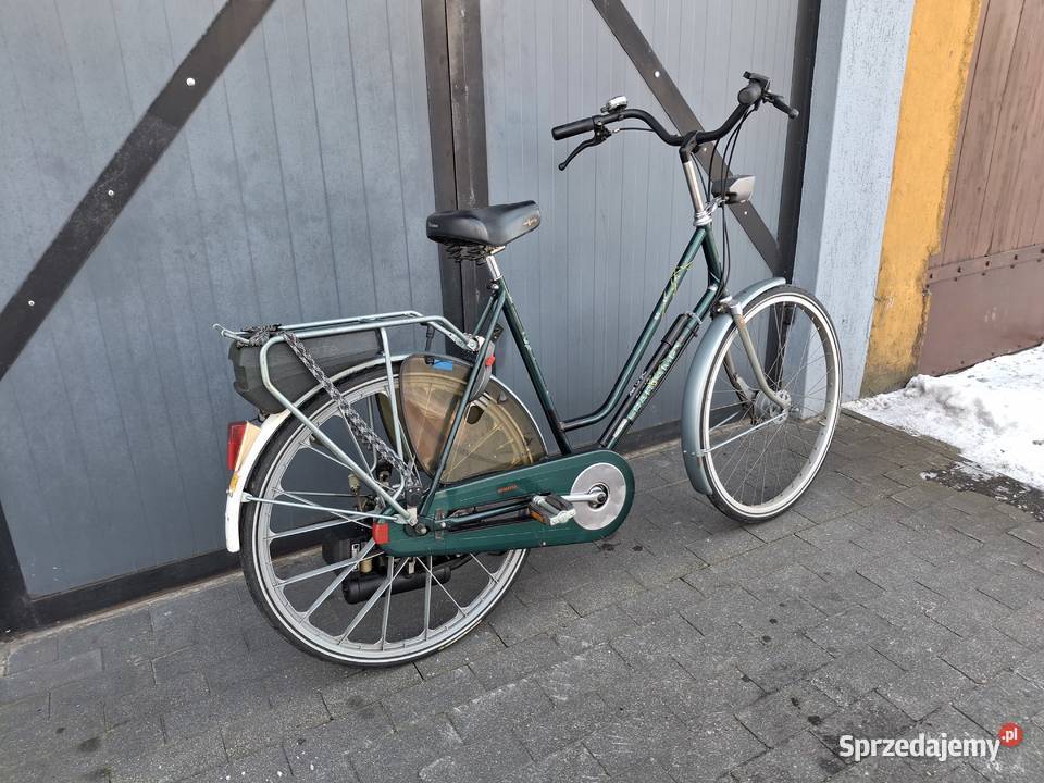 Rower spalinowy Sachs 301a