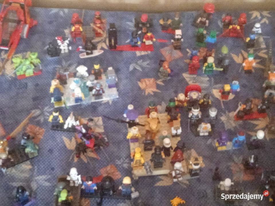 LEGO klocki z dodatkami Klocki Okonek