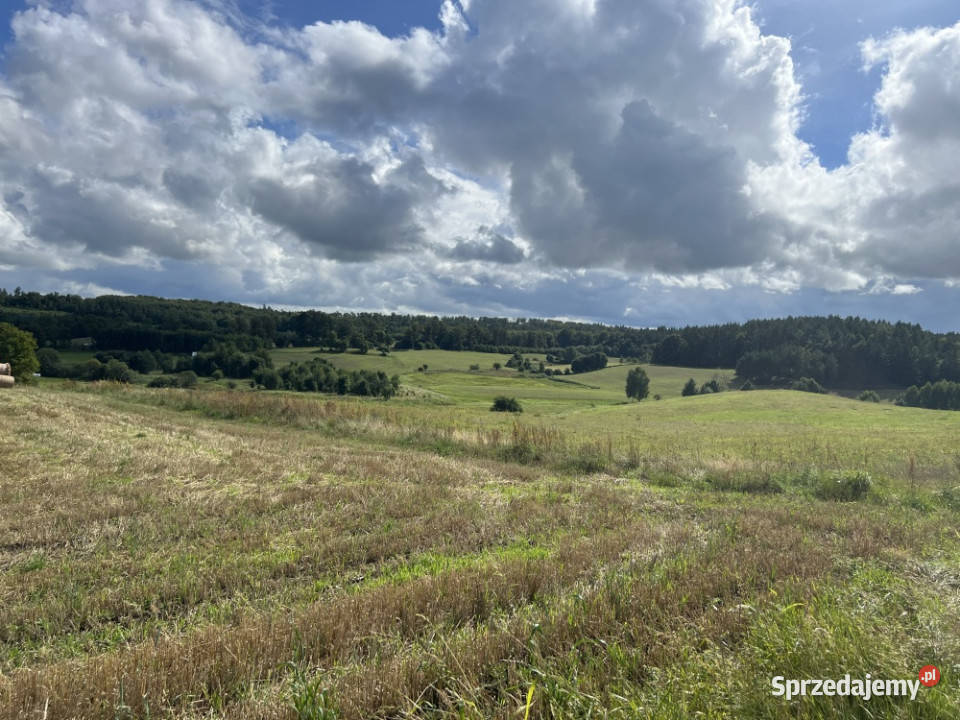 Działka siedliskowa 3 003 m z prawem zabudowy sprzedam