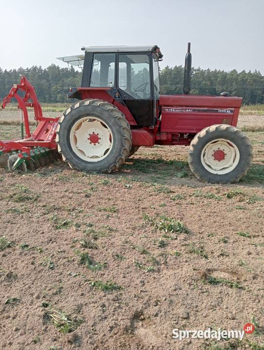 Case international 1255 Trzydnik Duży