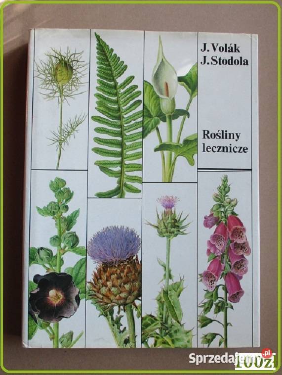 Rośliny lecznicze Volak Stodola rośliny zioła