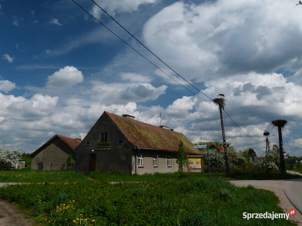 Mazury Dom 059 ha 325000 Sprzedaż
