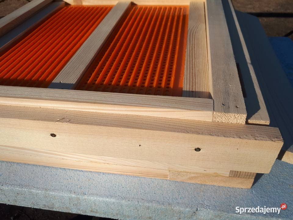 Ule wielkopolskie dennica z poławiaczem pyłku