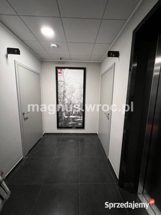 Lokal biurowy na Wrocławskim Rynku Wrocław