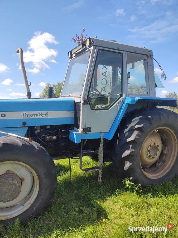Landini 10000 Gródek-Kolonia sprzedam