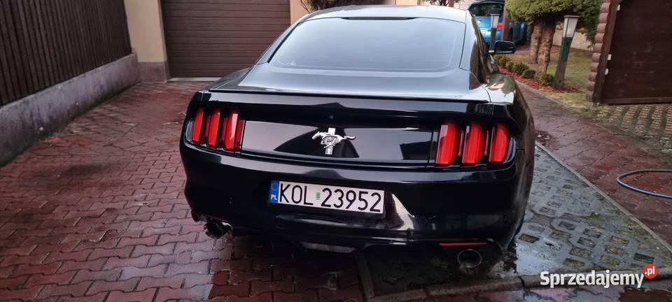 Sprzedam Forda Mustanga 37 z 2015 roku Zarejestrowany w Polsce Bolesław sprzedam