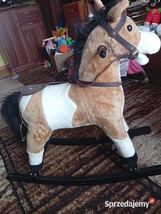 Konik na biegunach Mielec sprzedam