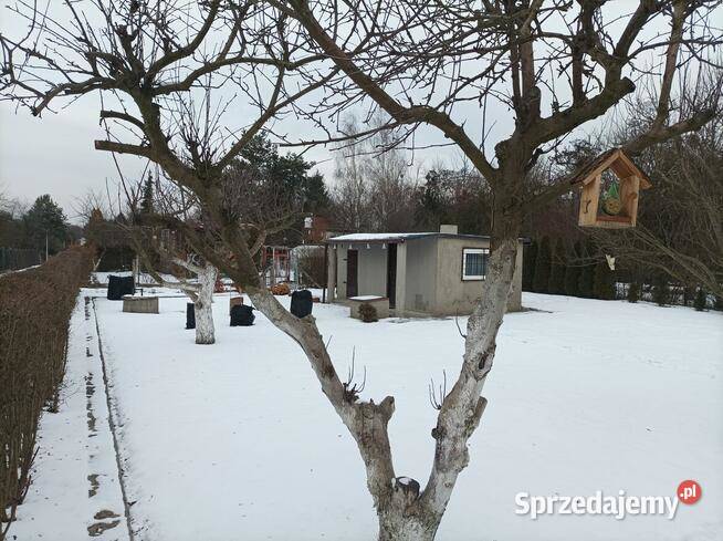 ROD 1go Maja w Gliwicach śląskie Gliwice