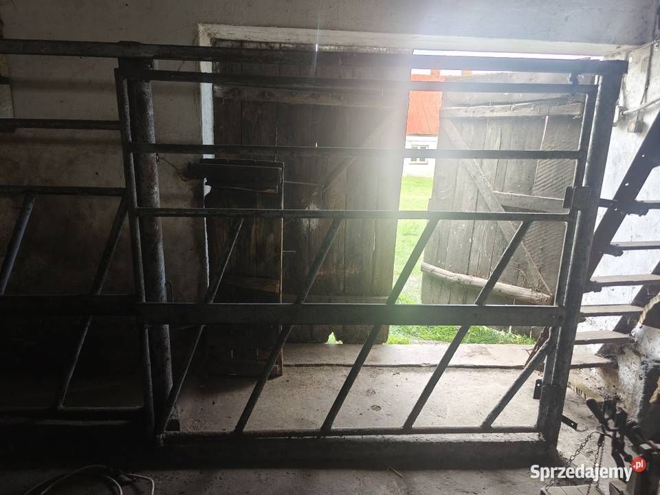 Wygrody bydła solidne wielkopolskie