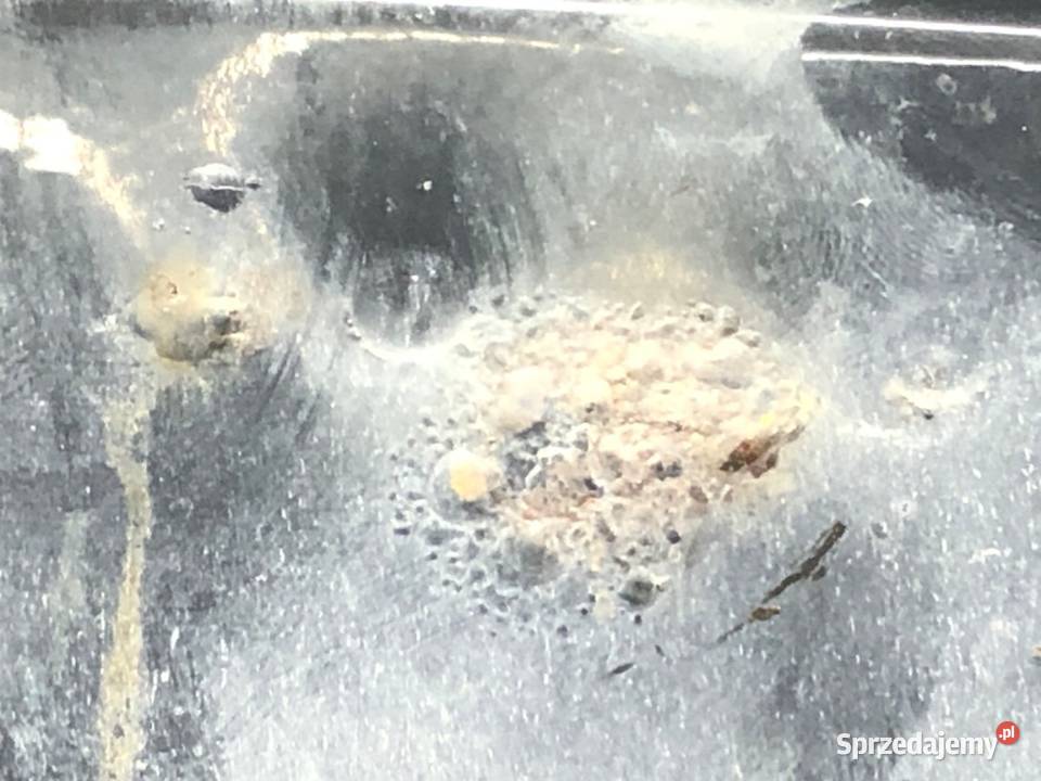 MASKA VW FOX Hatchback 0315 POKRYWA PRZEDNIA osobowe podkarpackie