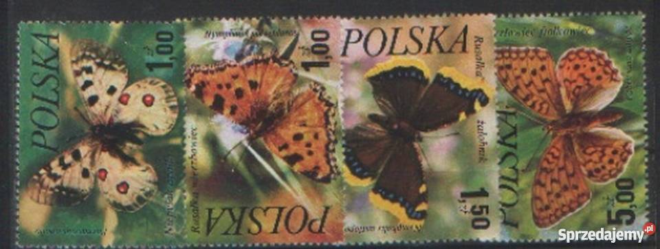 Zn Fi 2369 71 3 kas 1980