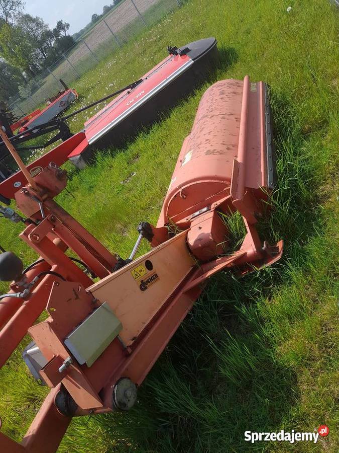 Mulczer Falc Leszno