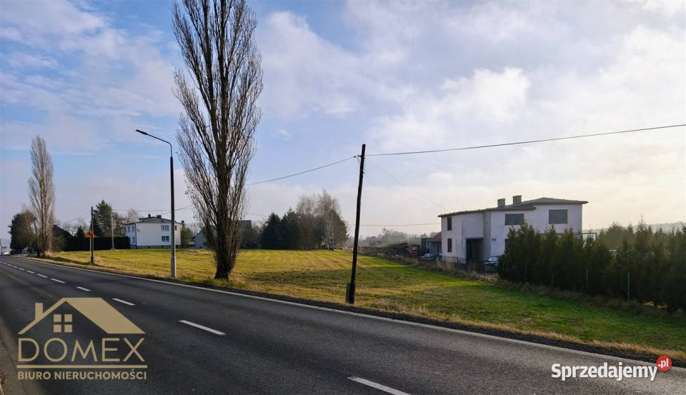 Grunt 2443 metry Gorzyce