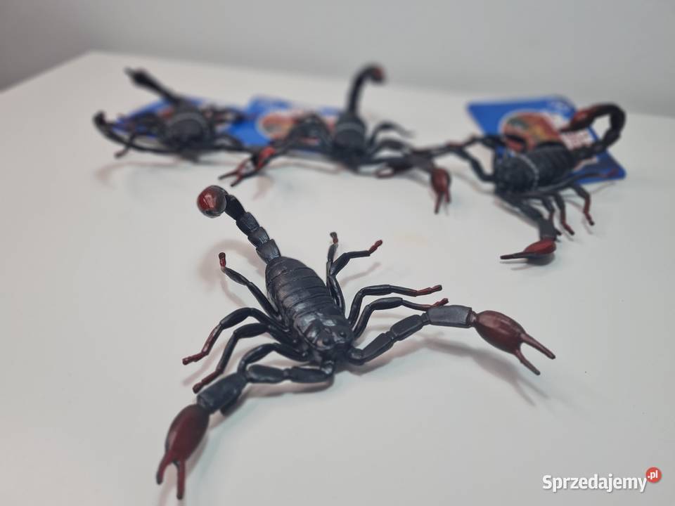 Insect Toy Skorpion 15 małopolskie Krasne-Lasocice