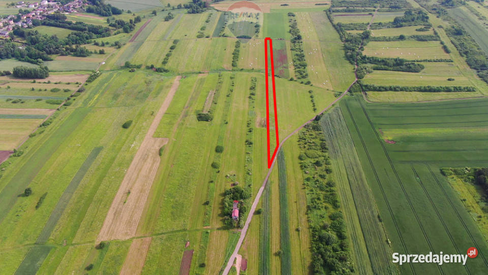 Działka rolna PorębaNiwki 10m Poręba