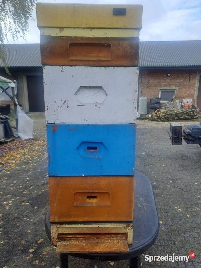 sprzedam ule używane sprzedam