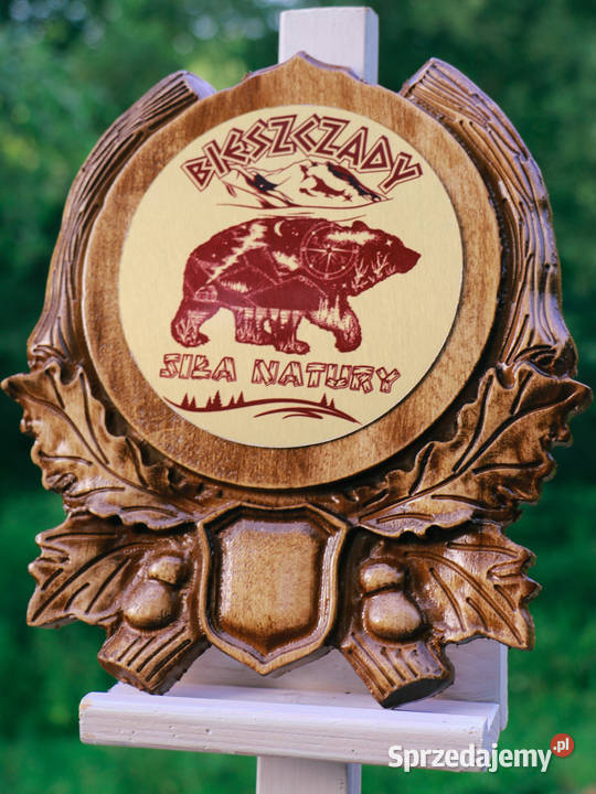 Pamiątka z Bieszczad Rzeźbiona deska Sztuka współczesna Jasienica Rosielna sprzedam