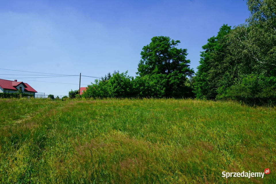 Działka z warunkami zabudowy i terenem 11ha 412m Suliszew